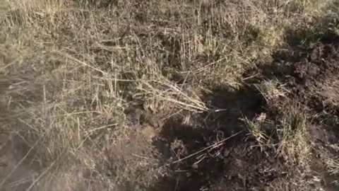 🇷🇺🇺🇦 video from the enemy side