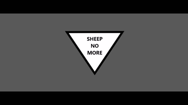 S h e e p N o M o r e