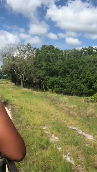 River ranch boggy tour