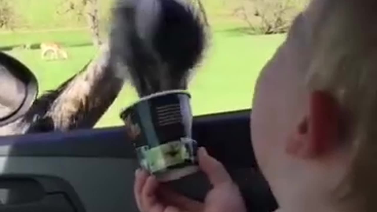 The kid is overjoyed 😂🤣