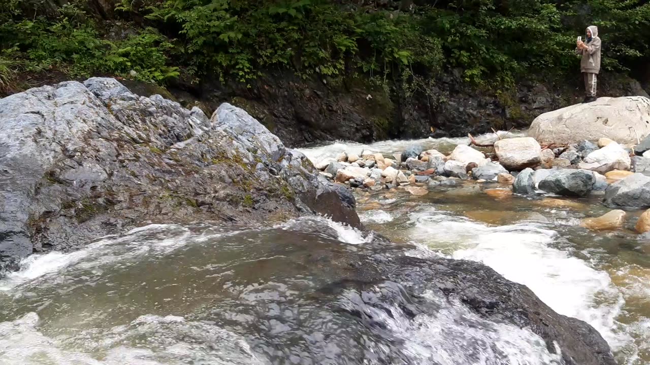 Sections from Creek Videos 4
