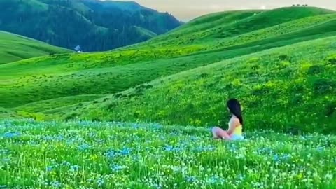 Beautiful grassland