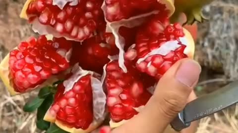 Fruit Video| Amazing Fruit Video| Best Video