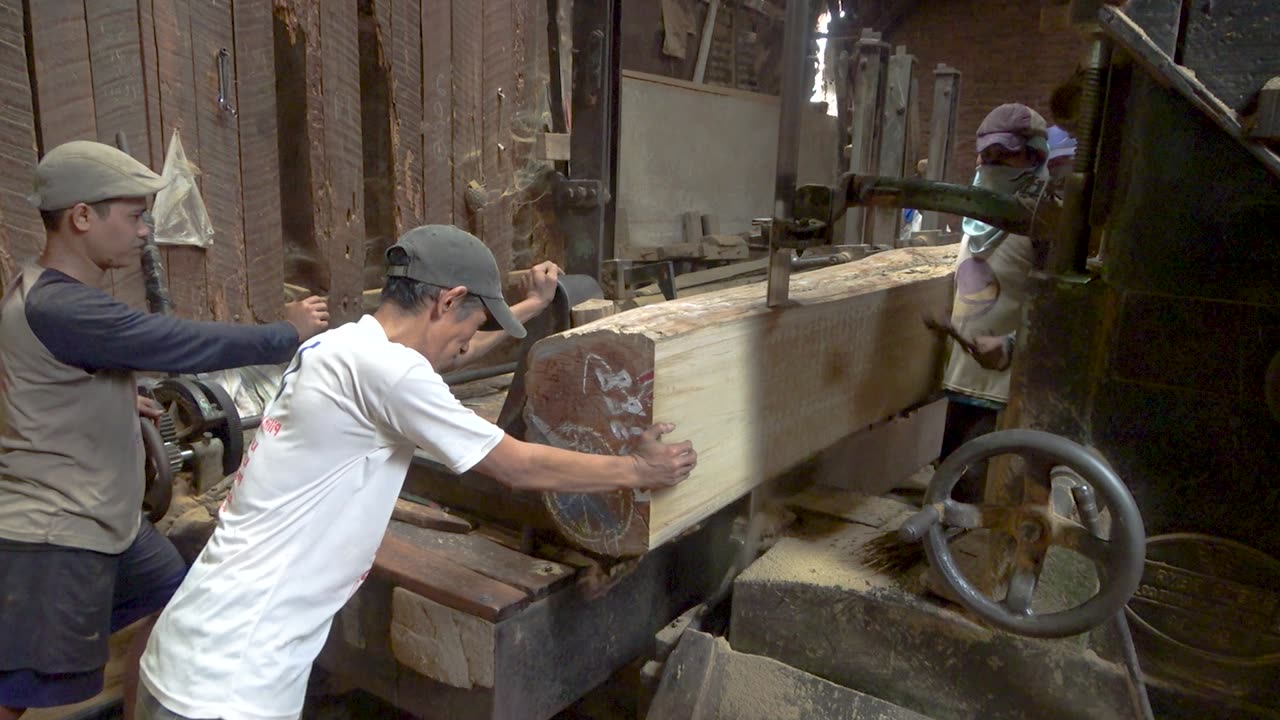 sawmill video