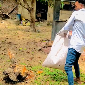 My Tik Tok I would like Mango boy.