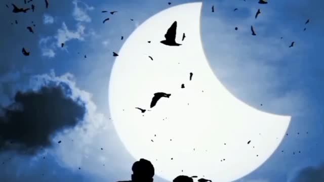 Feel the song