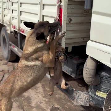 Helping others is the first choice