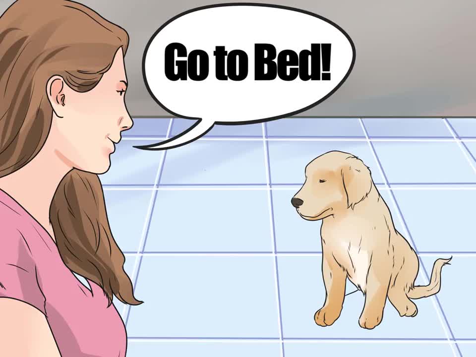 Encourage Your Dog to Sleep in Your Bed easy!