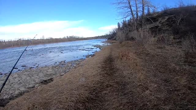 Fishing Alberta