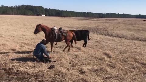 HEROIC Animals Saving Owner's Life