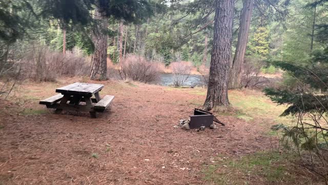 Campsites #6, #5, #4 BEST Walk-In Sites Allen Springs Campground Metolius River Central Oregon 4K