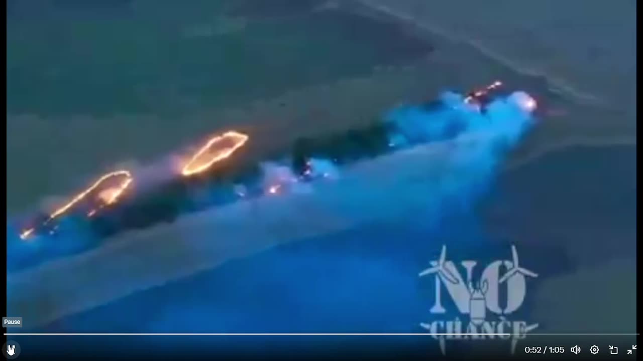 Watch as Ukrainian drone drops molten thermite on a Russian held tree line in Zaporizhzhia.