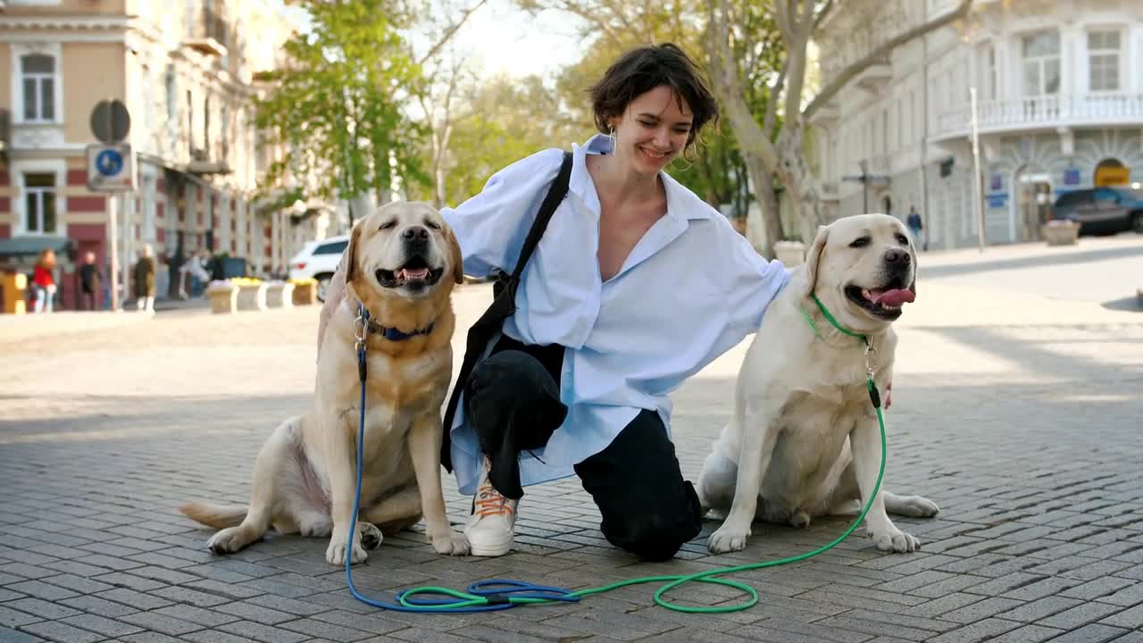 Portrait of young stylish hipster girl petting two retriever dogs outdoors in city center