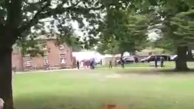 ENGLAND: Pelosi Greeted by Patriots Yelling “Trump Won”!