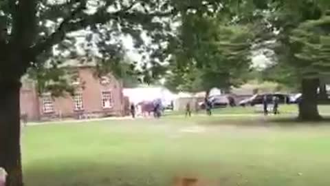 ENGLAND: Pelosi Greeted by Patriots Yelling “Trump Won”!