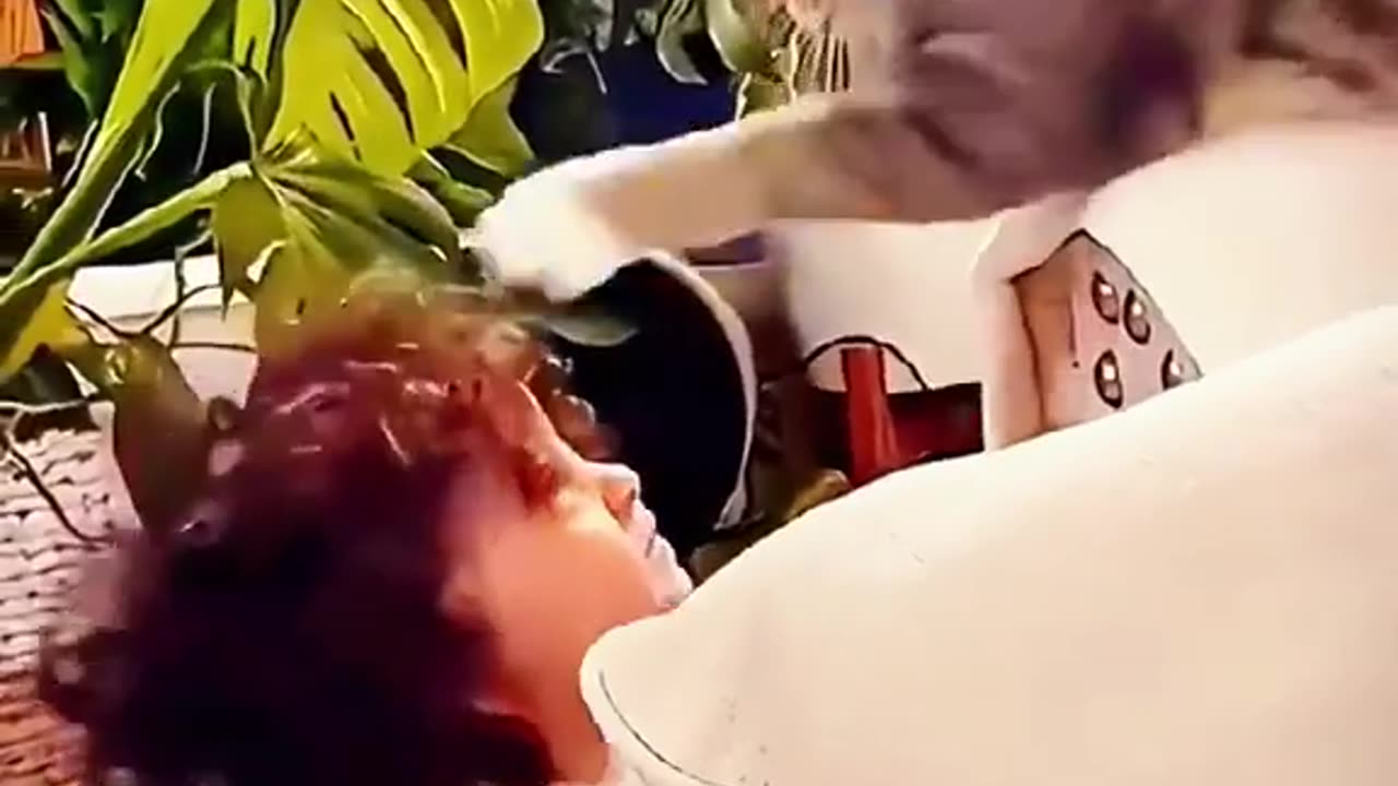 Funny animal moments caught on camera 2023
