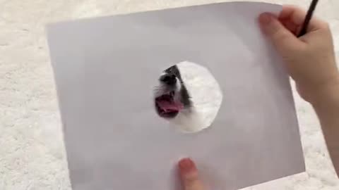 Behind the scenes of this puppy drawing video