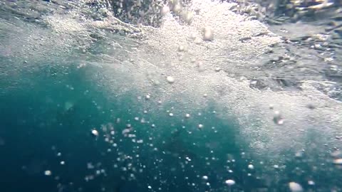 Pod of Dolphins Swimming Alongside Boat