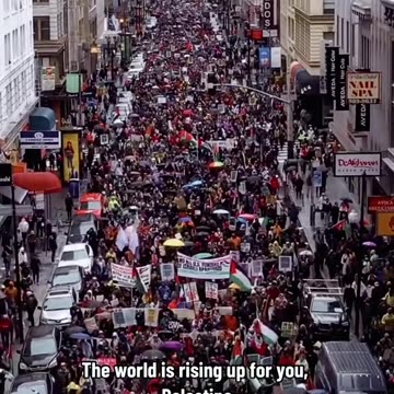 PALESTINE THE WORLD IS RISING FOR YOU