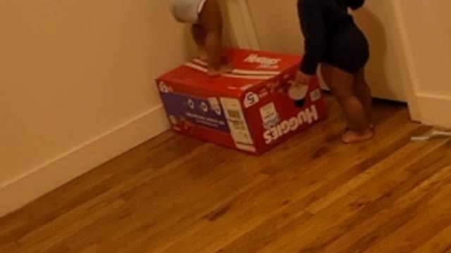 Genius babies use teamwork to open door