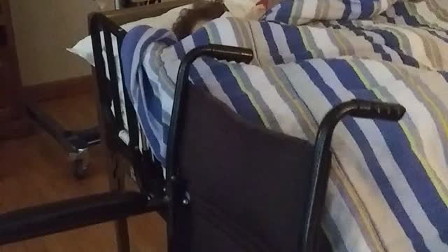 Creating a cozy sleeping experience for the elderly