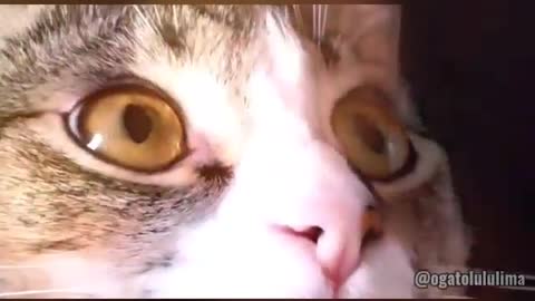 Feel that look...