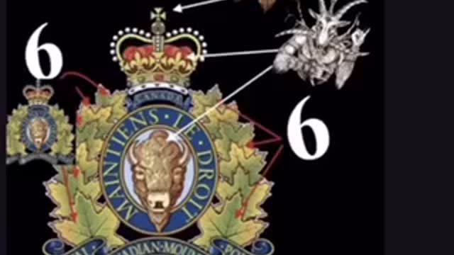 🇨🇦 RCMP martial arts moves.