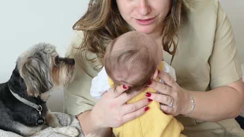 baby with two gorgeous bunche