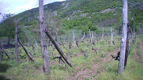 Residence to dwell between Stara and Suva Planina
