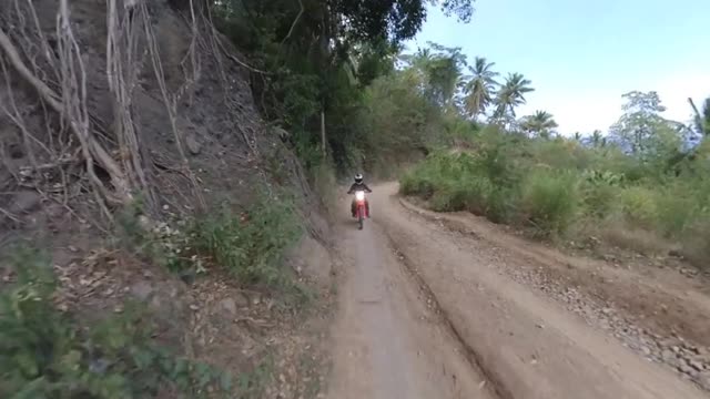 bart profile video