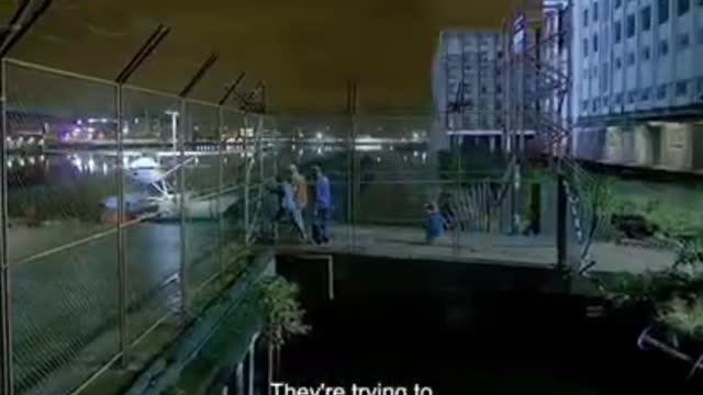 cute bear was wrongly jailed, probably inmates escape from prison (part 6)
