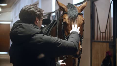 Horse riding - a man in a stable stroking a bay horse