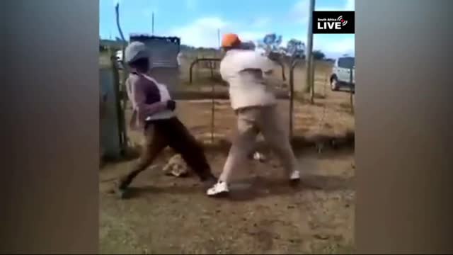 Ultra Instinct Live On 1 on 1 Boxing Match