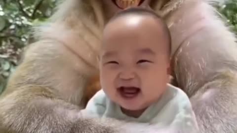 Funny monkey video#funny animal video