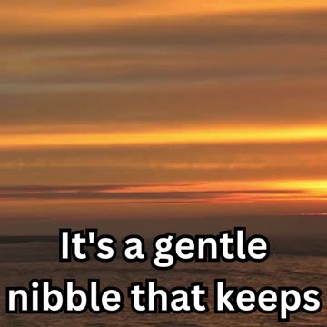 how to strengthen relationship with husband