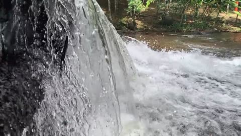 Nature video