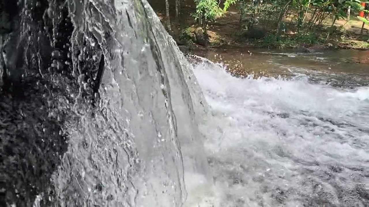 Nature video