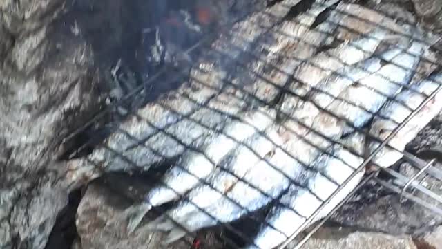 Watch the best way to cook sardines in the wild