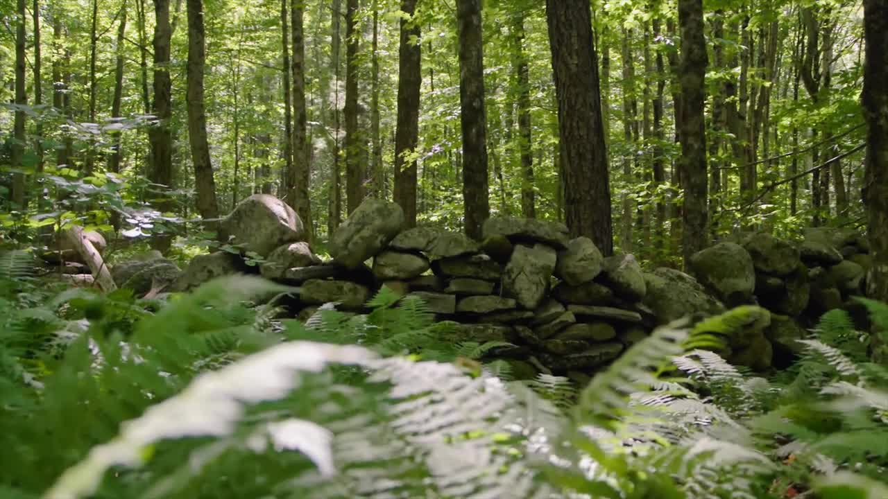 Your Own Nature Sanctuary Awaits in Becket, Massachusetts