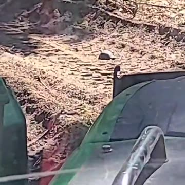 almost got ran over...