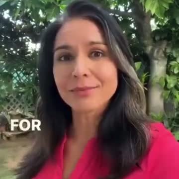 Tulsi Gabbard Offers an Alternative Perspective on the Russia/Ukraine Conflict