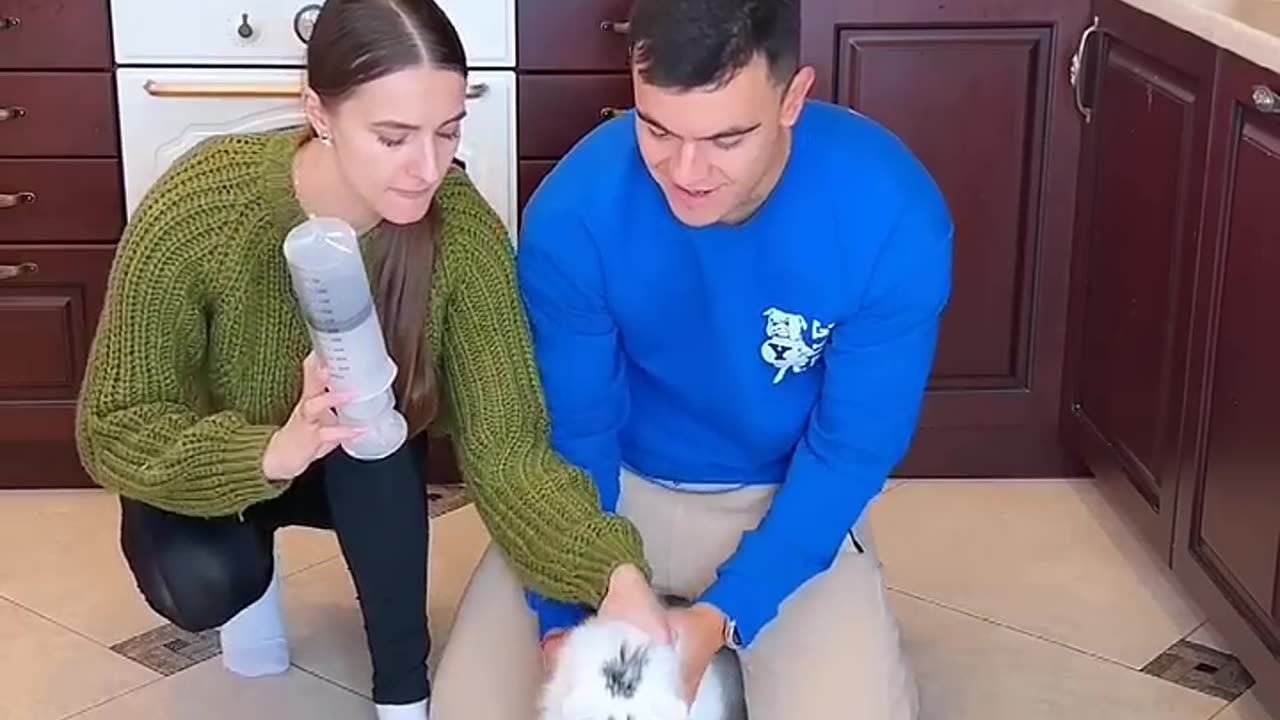 Funny cat 🤣 wait for the end 😁