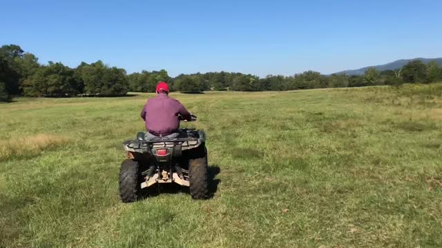 Papa Frank, pop-a-wheelie