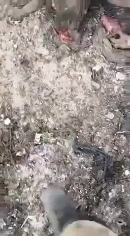 Aftermath of Strike on Russians - NSFW