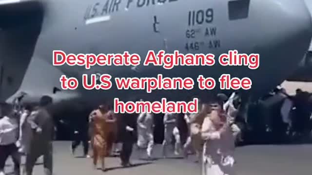 Desperate Afghans cling to US warplane to fleer homeland