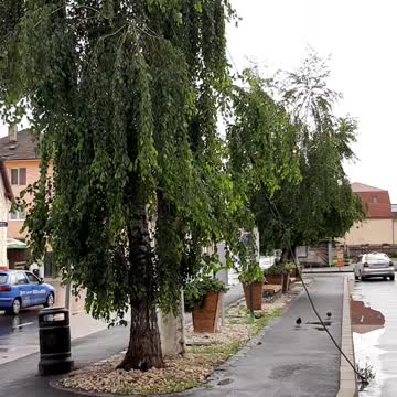 Medias, Gara, radiatie radiofrecventa