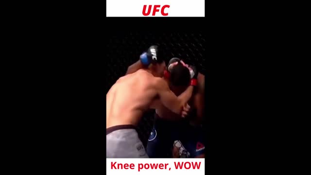 Knee power WOW knockout Ufc MMA kickboxing muay Thai