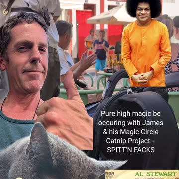 My first coffee in Coimbra - Year Of The Cat!