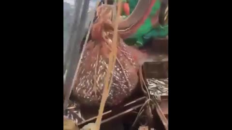 Thats a Big Fish?
