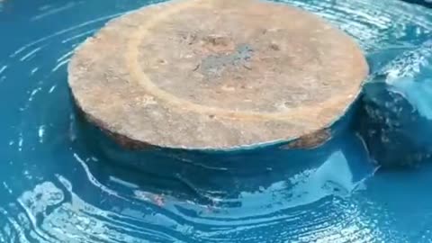 dragged to the edge of the cliff by your teammates.